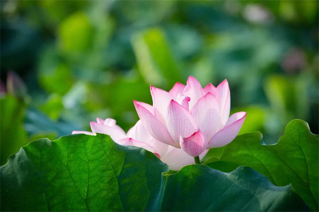 南宫娱乐·NG28(中国集团)官方网站