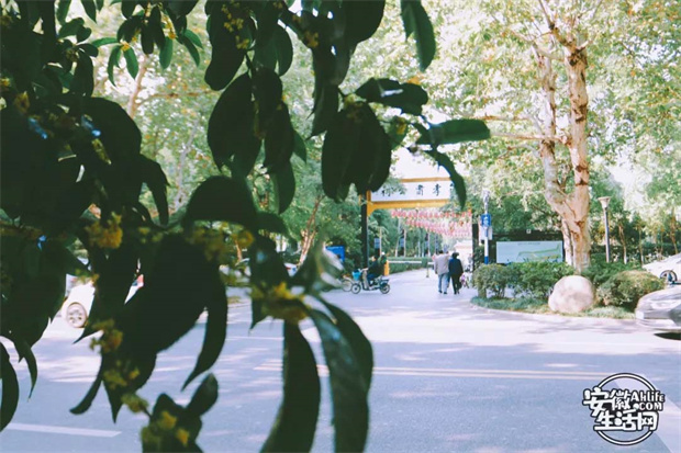 南宫娱乐·NG28(中国集团)官方网站