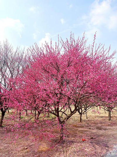 南宫娱乐·NG28(中国集团)官方网站