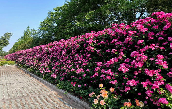 南宫娱乐·NG28(中国集团)官方网站